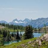 Sunshine Meadows