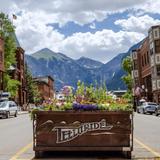 Telluride
