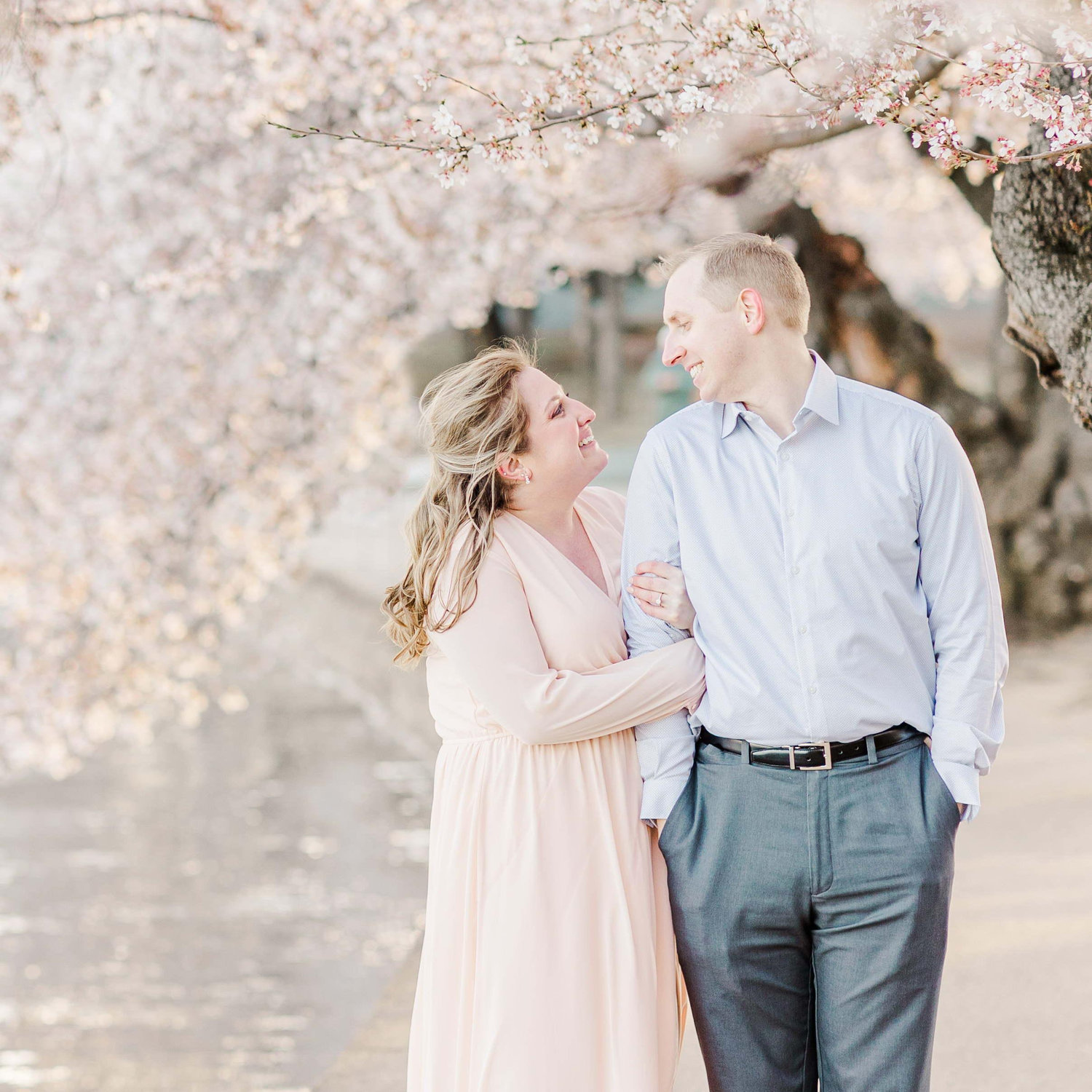 March 2022: Washington, D.C. Cherry Blossoms