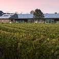 Newport Vineyards