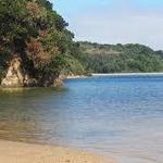 Tomales Bay State Park