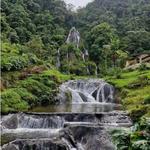 Tour: Termales de Santa Rosa de Cabal