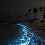 Bahía Bioluminiscente