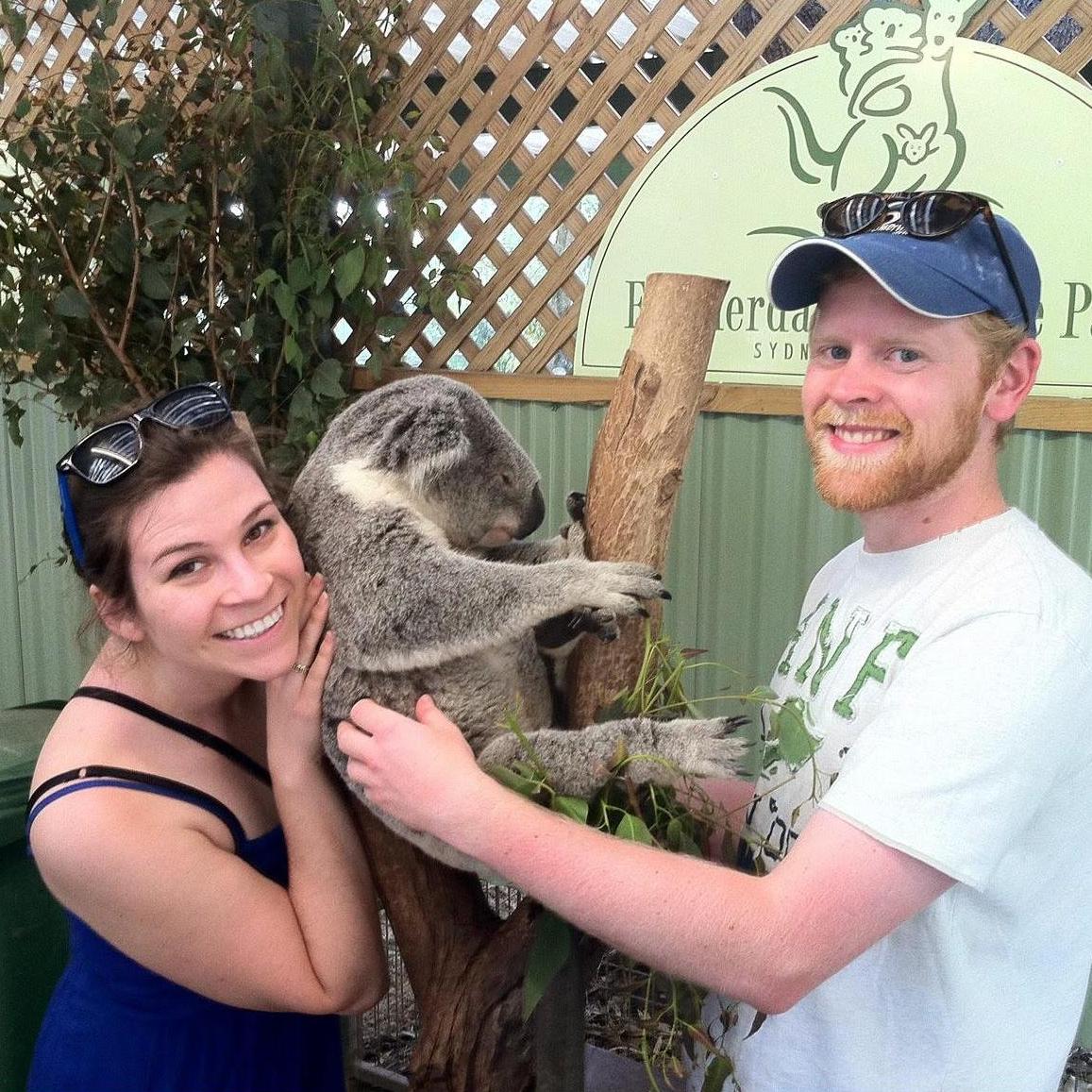Getting cozy with some koalas down under