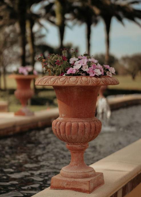 The Wedding Website of Tracy ! and Claude Henry
