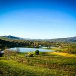 Valley Road Vineyards
