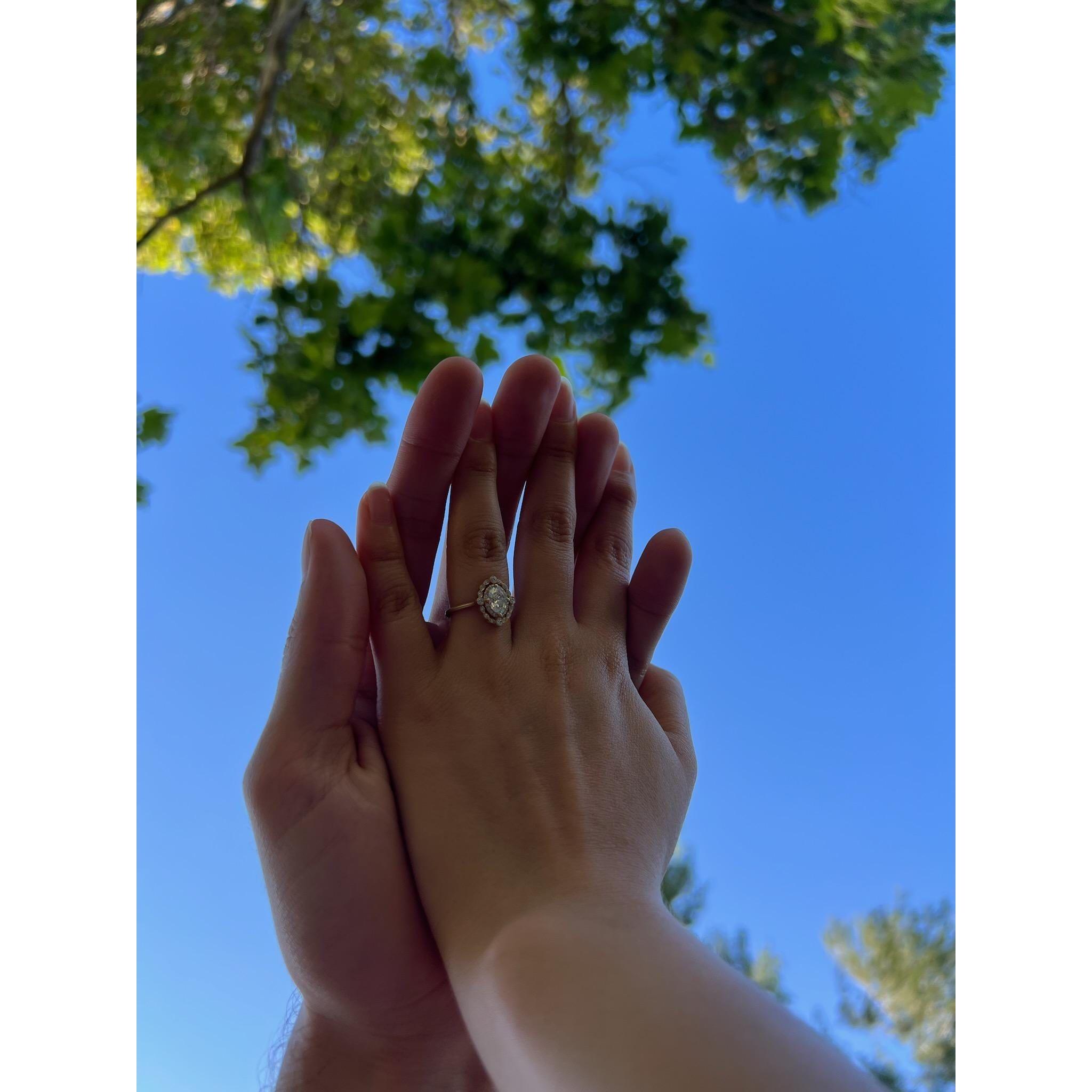 "The mere idea of you, the longing here for you ... I see your face in every flower, your eyes in stars above, It's just the thought of you, the very thought of you, My Love"

Lyrics by Al Bowlly.
