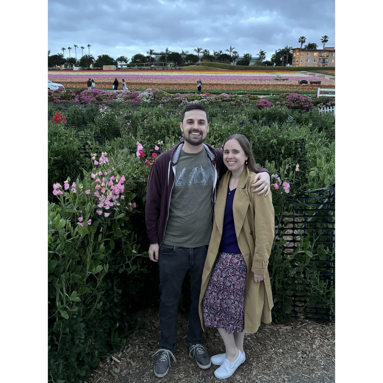 At the Carlsbad Flower Fields, 2024