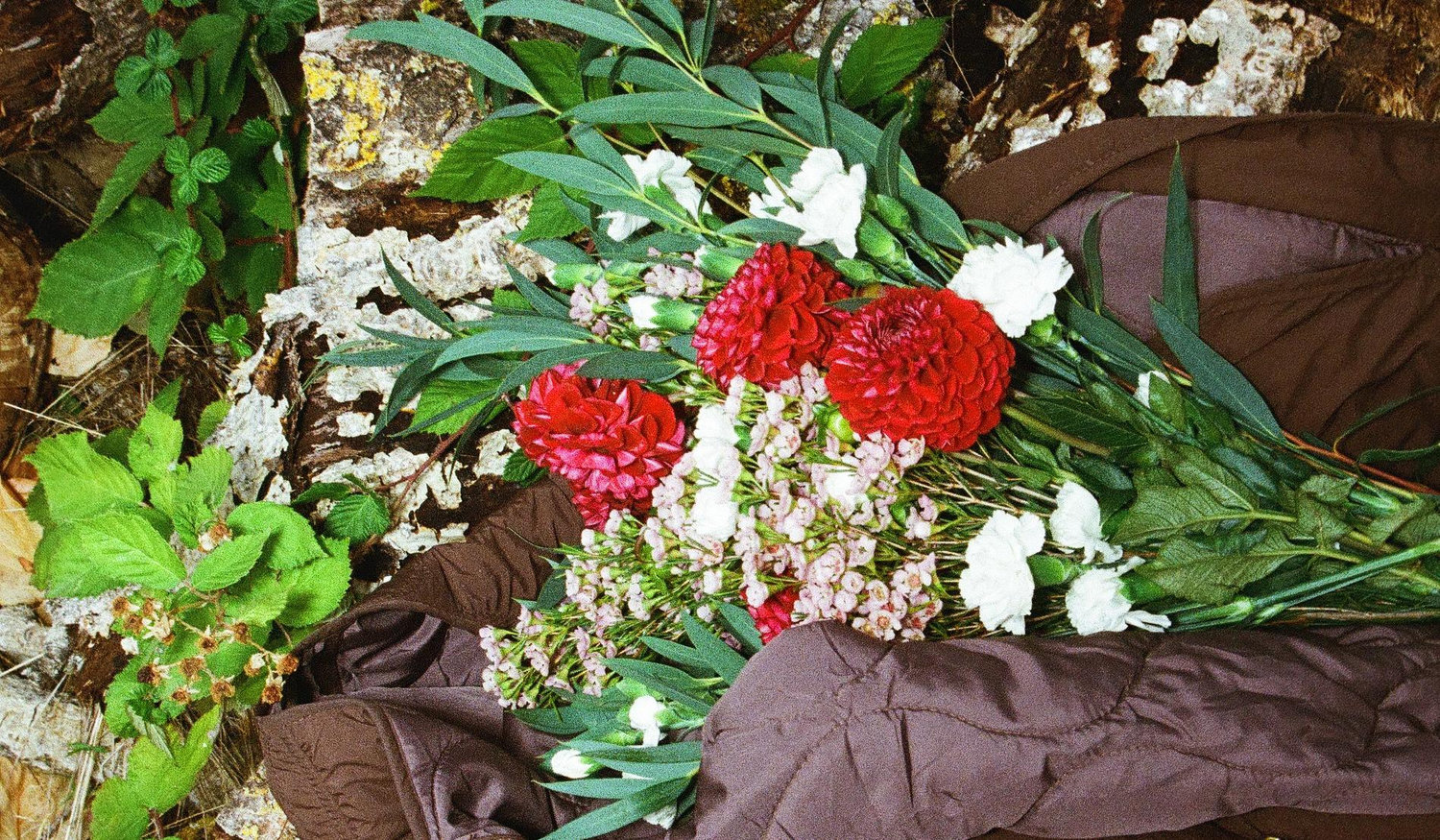 Footer image