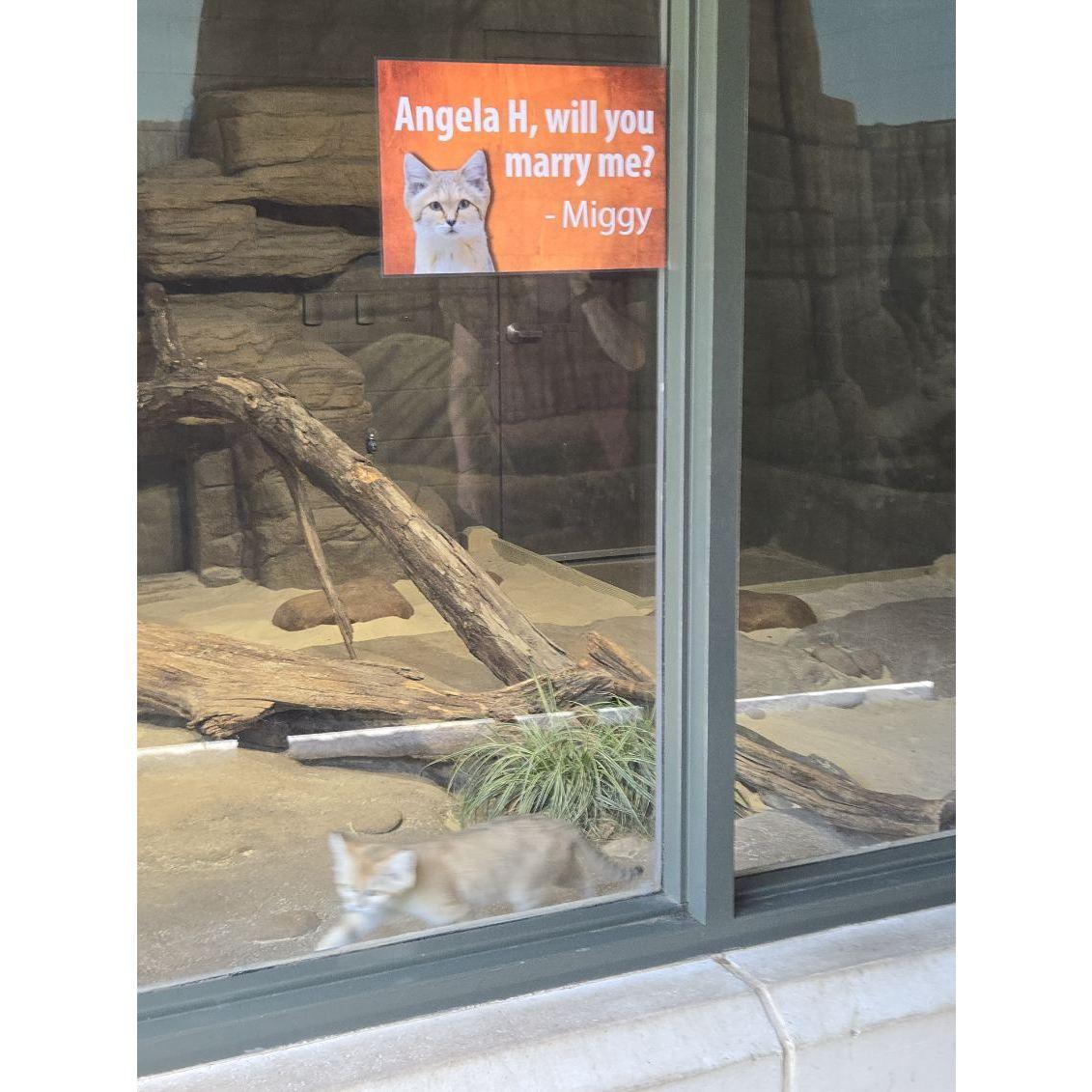 He had them put this sign out for us and we got to keep it!