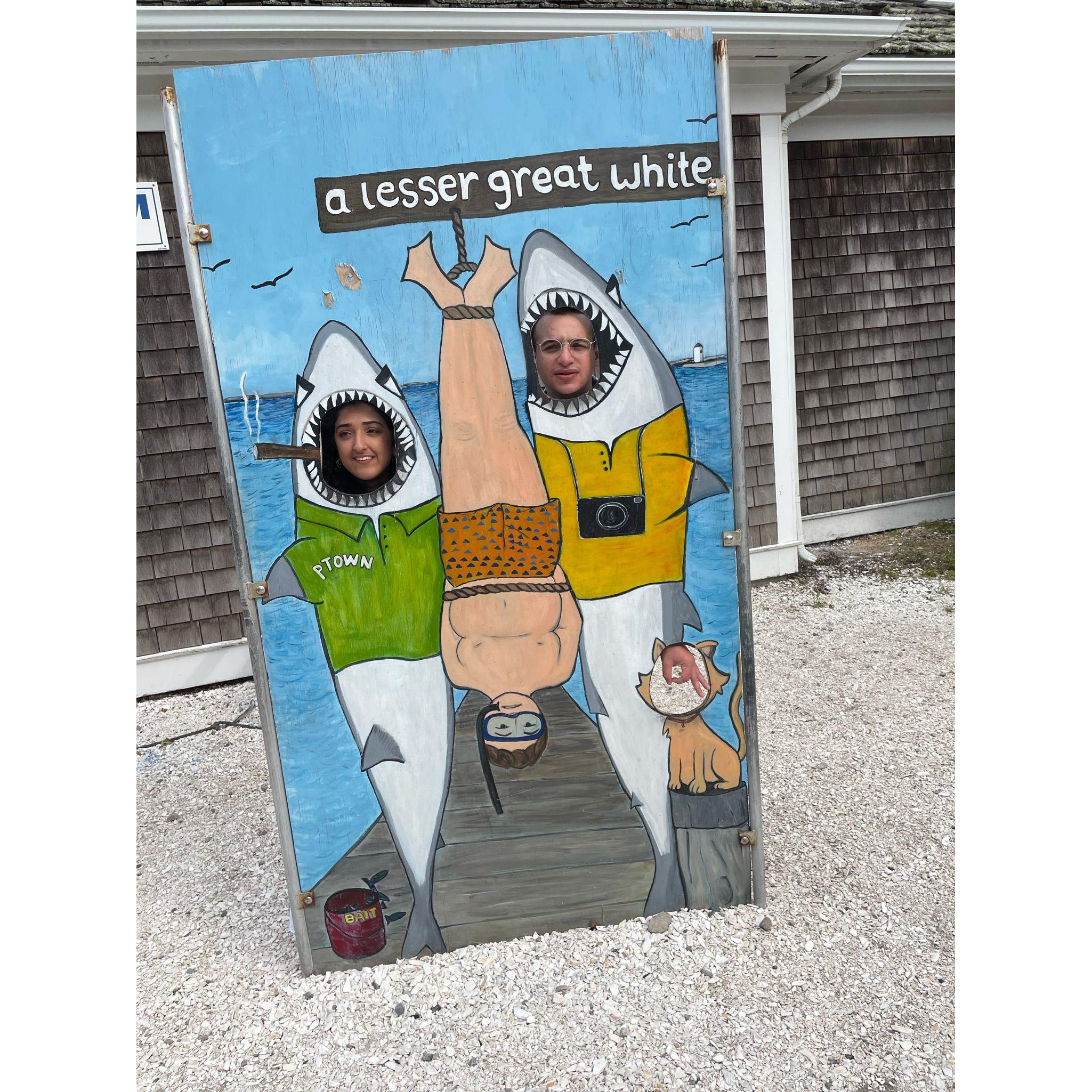 We visited Provincetown when went to the Cape in Summer 2021!