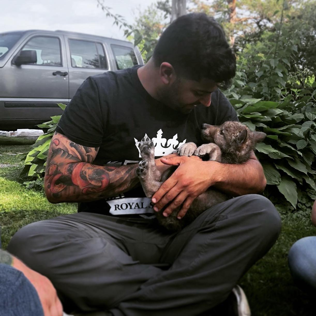 meeting the baby wolves for the first time