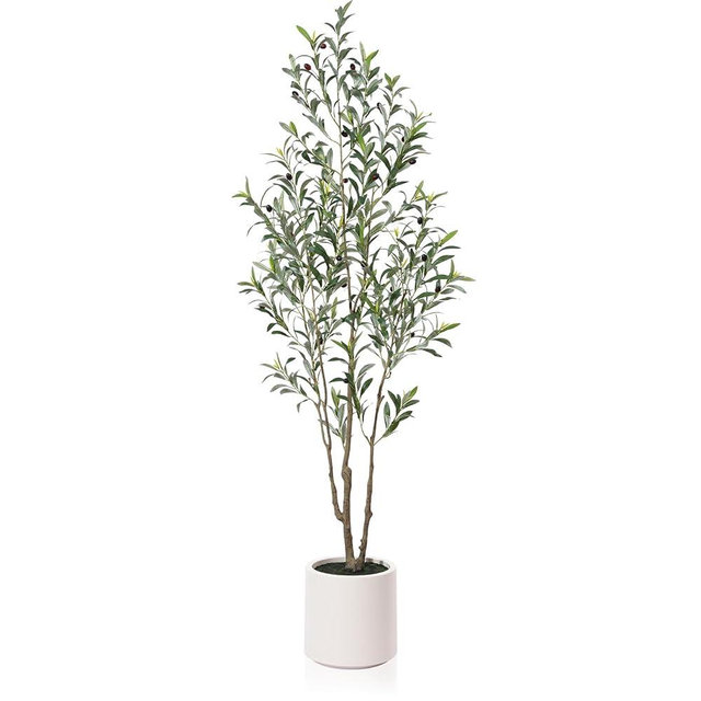 LOMANTO Artificial Olive Trees, 6 ft Tall Fake Olive Trees for Indoor, Faux Olive Silk Tree, Large Olive Plants with White Planter for Home Decor and Housewarming, 1 Pack