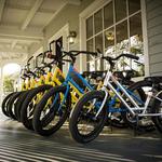 Island Bicycle
