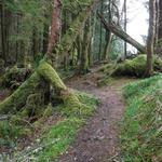 Lewis & Clark Discovery Trail