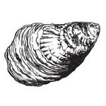 Eventide Oyster Co.