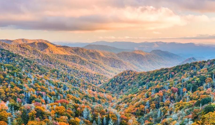 f7906218-466e-478b-8636-d9739c828e54