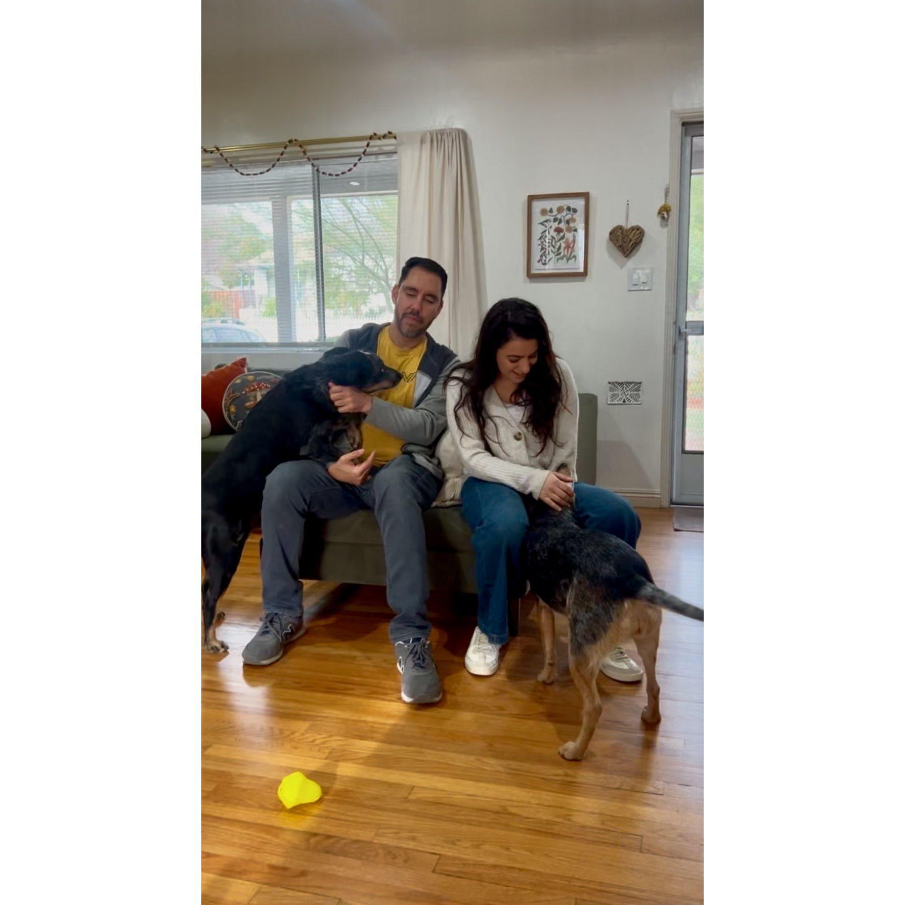 Hanging out with our fur babies at our place in Montrose- Dec 2024.