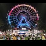 The Wheel at ICON Park™