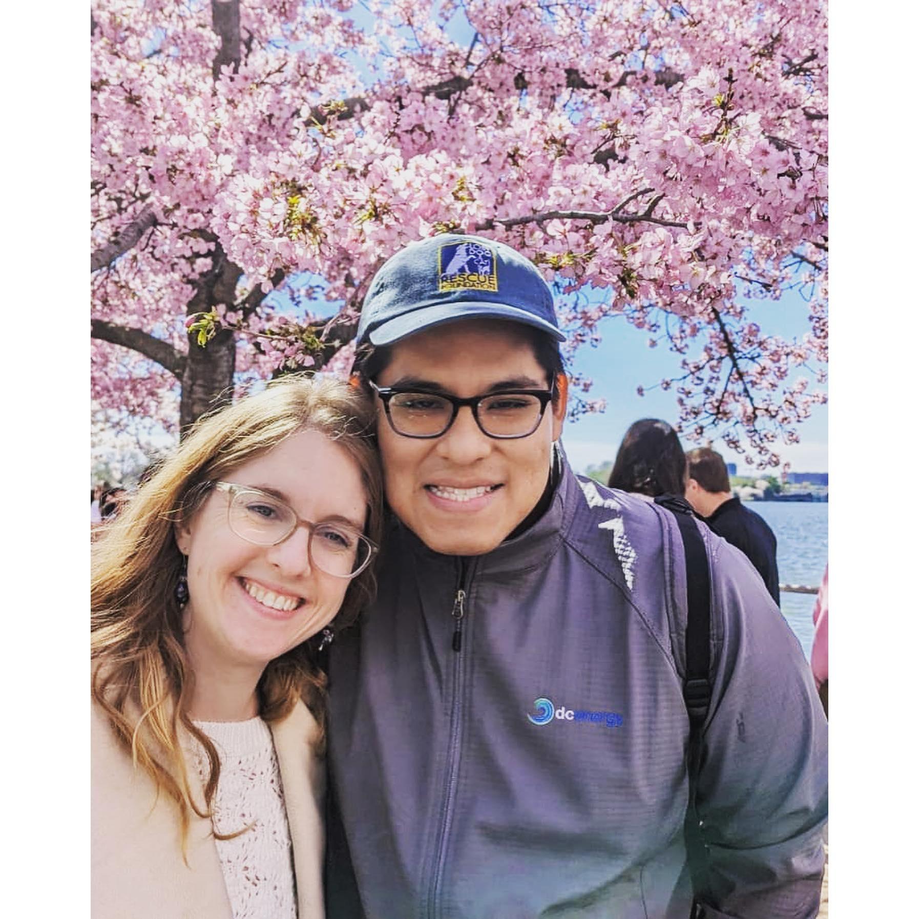 Cherry Blossom viewing 2023