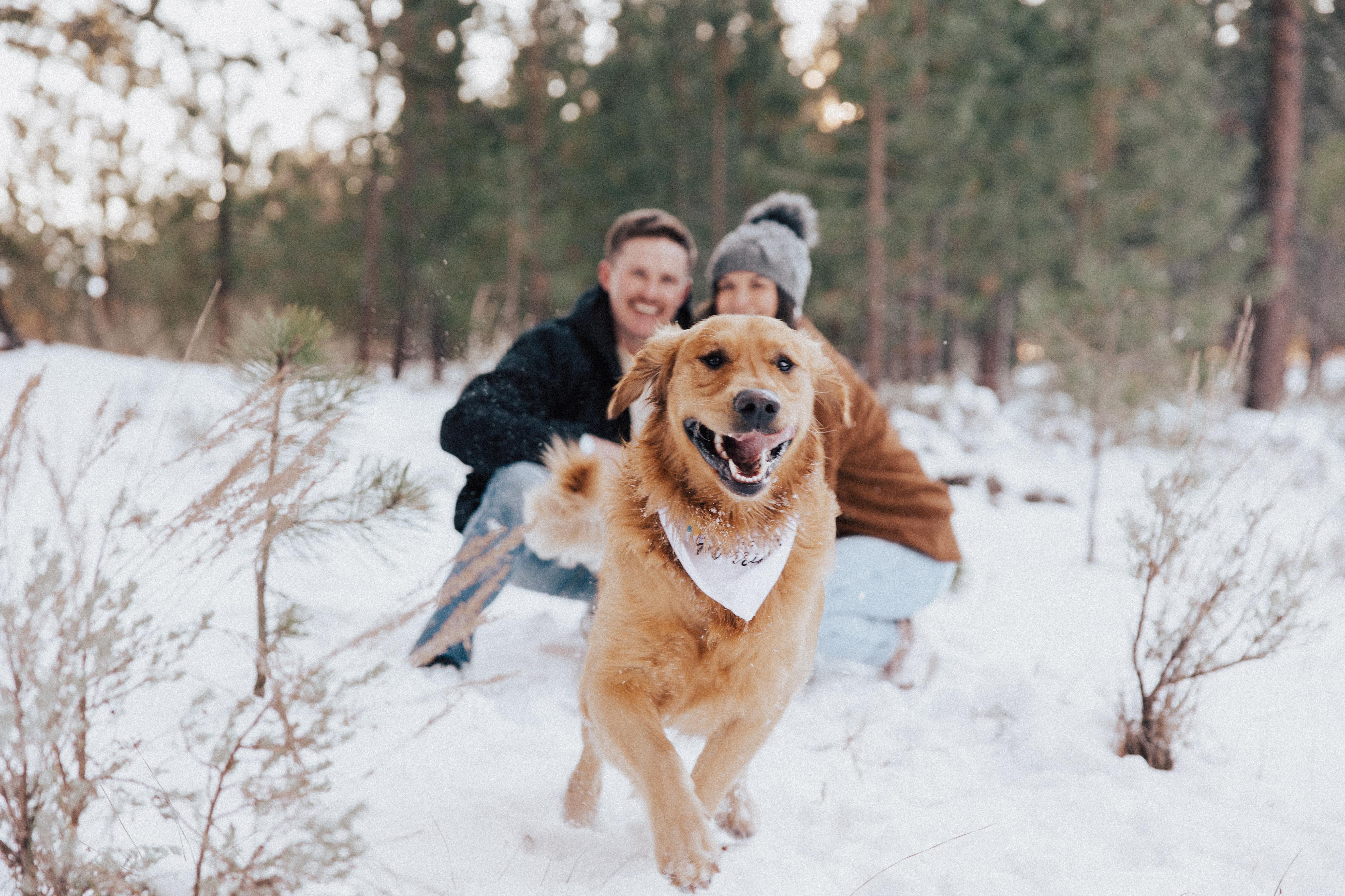 The Wedding Website of Aliesa Peterson and Jared Correll