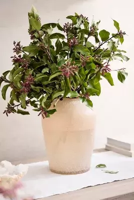 Buried Glass Vase