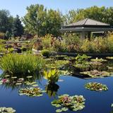 Denver Botanic Gardens
