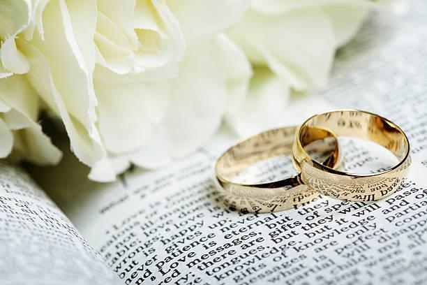 The Wedding Website of Anneliese Riedel Beaulieu and Jonathan Robert McMillen