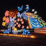 Houston Botanic Garden