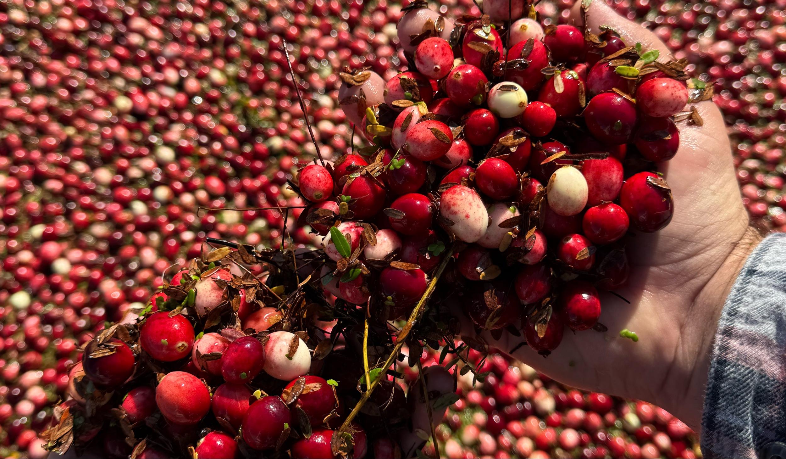 Hero Slideshow Image 5