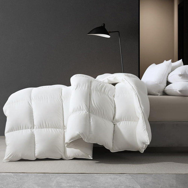 MASVIS Feather Comforter Filled with Feather & Down Queen Size-All Season Duvet Insert Luxurious Hotel Bedding Comforters, White