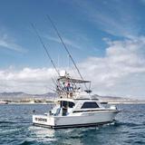 Deep Sea Fishing