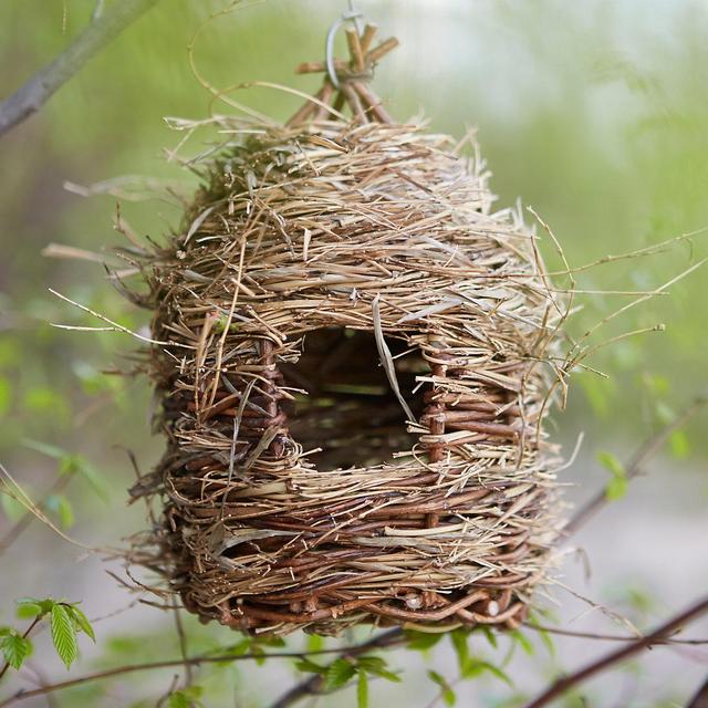 Willow & Grass Birdhouse