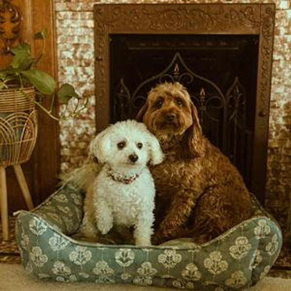 Mouse & Howie Busy Bone and Frisbee Fund