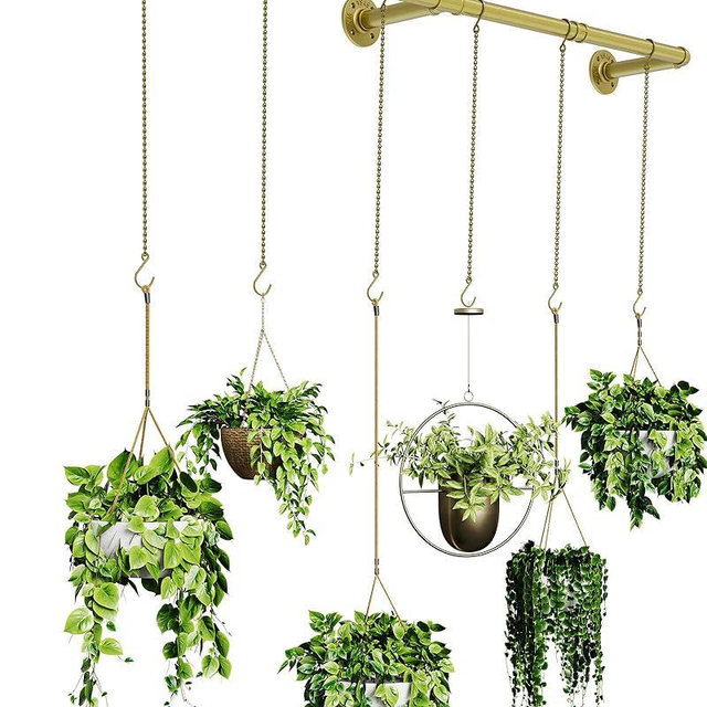 SOFITORG Plant Hanger Indoor, Hanging Planters for Indoor Plants with 6 Hanging Chains, Wall Plant Hanging Rod for Window Ceiling, 65 Inch, Metal/Golden…