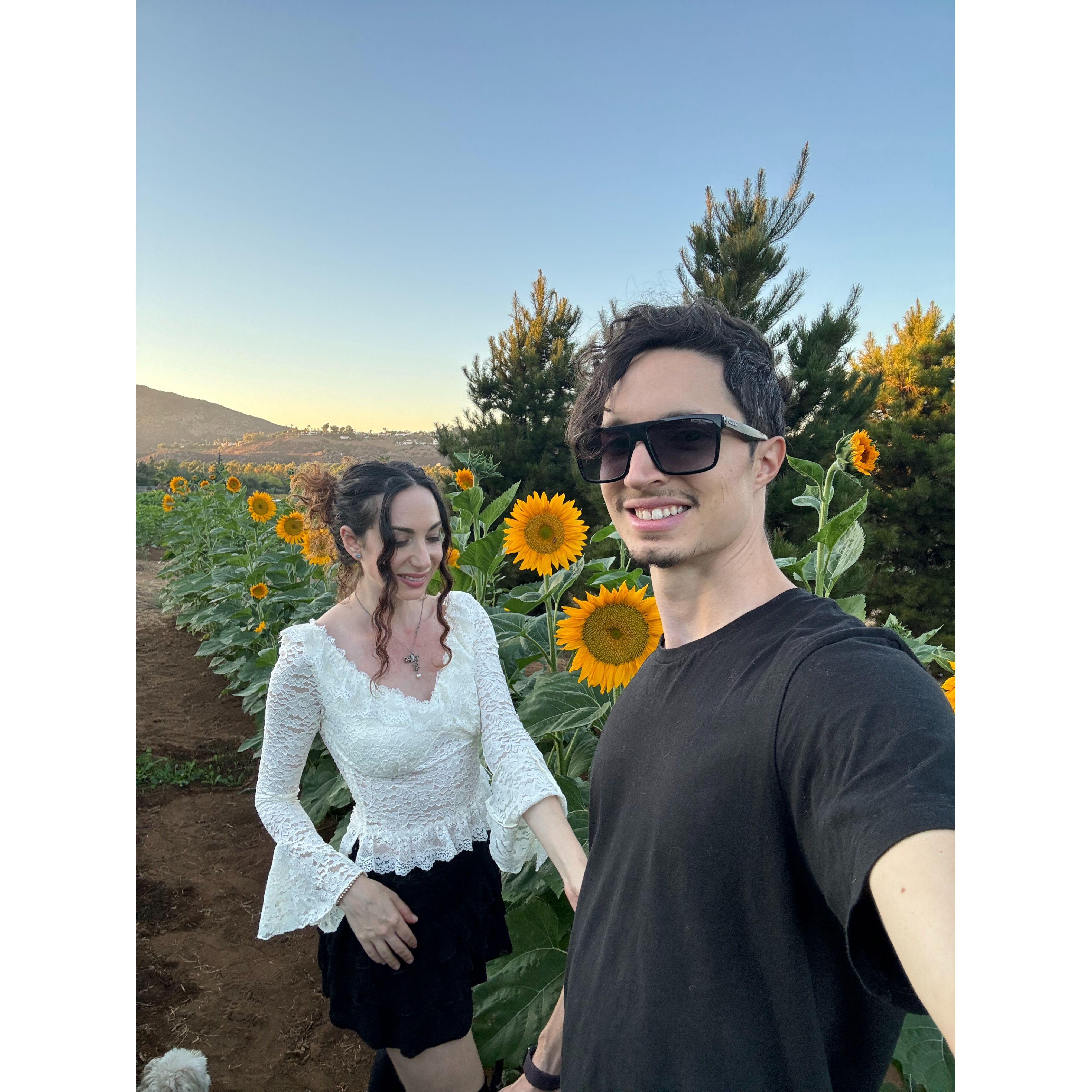We are each other's sunflowers in human form.