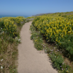 Tomales Bay Trailhead