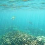 Lawa'i Beach