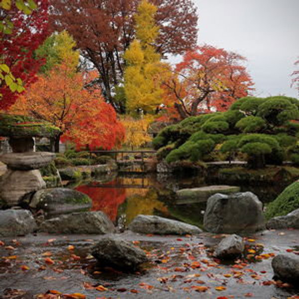 Japan Honeymoon Fund - Venmo Option