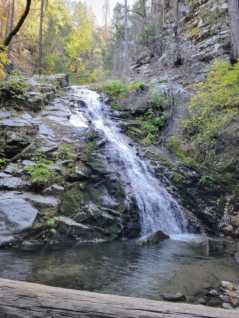 The Wedding Website of Ammanda Barela and Asa Peters