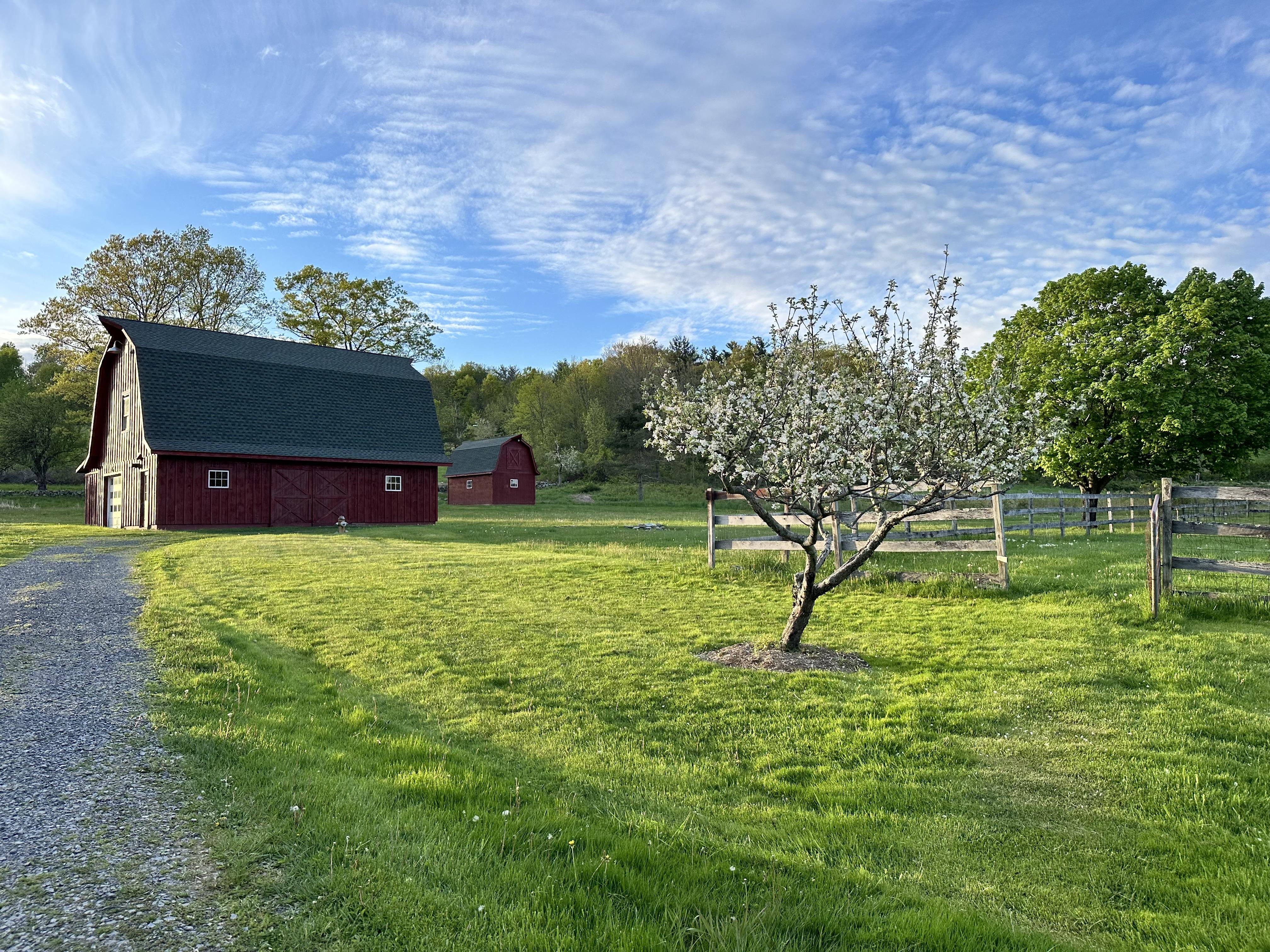 The Wedding Website of Stella Metzner and Rob Garrity