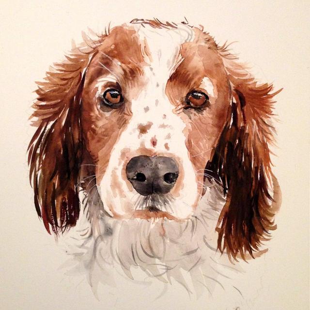 Custom pet portrait. Original watercolor painting. Dog portrait. Pet portrait. Pet portrait comission. Dog lover. Dog art