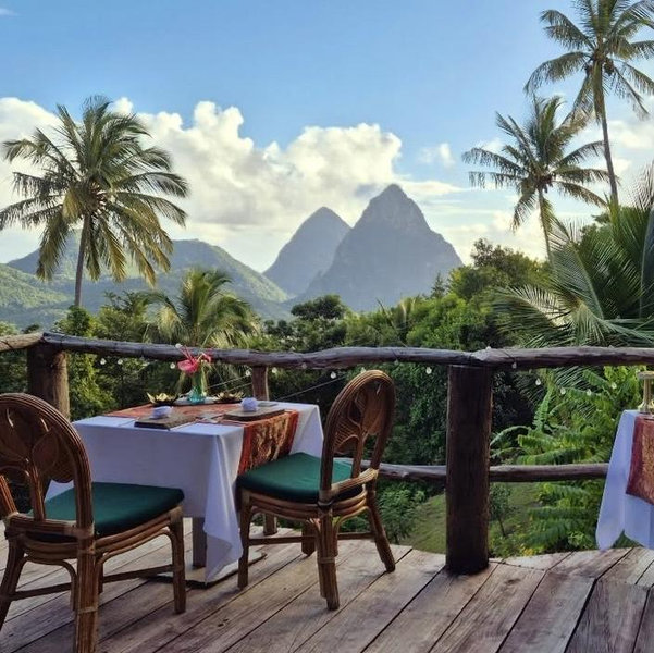 Treetop Restaurant Dinner Experience