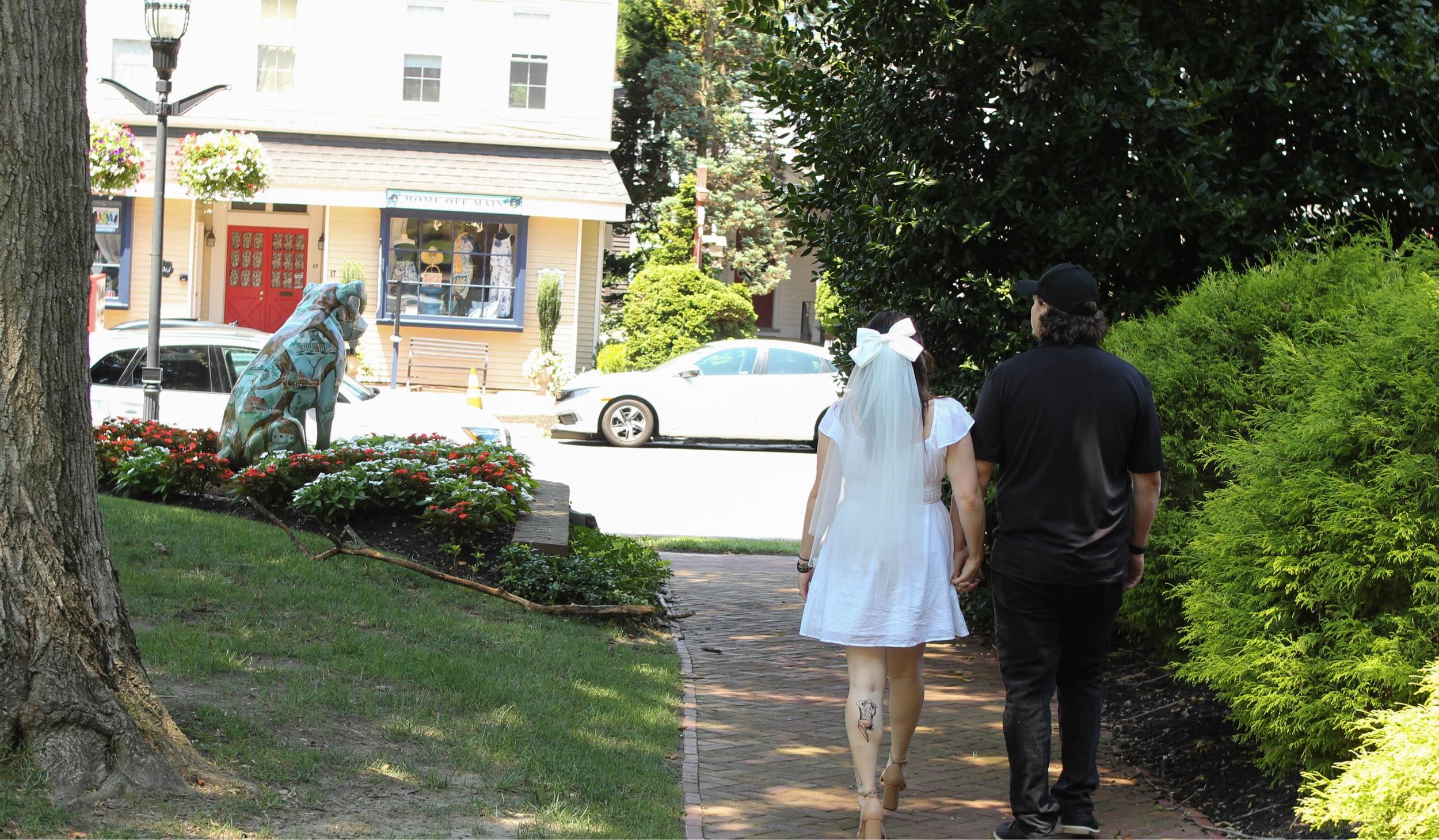 Hero Slideshow Image 3