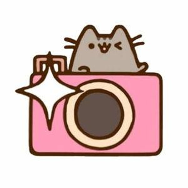 Fancy Camera