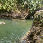 El Yunque National Forest