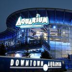 Downtown Aquarium