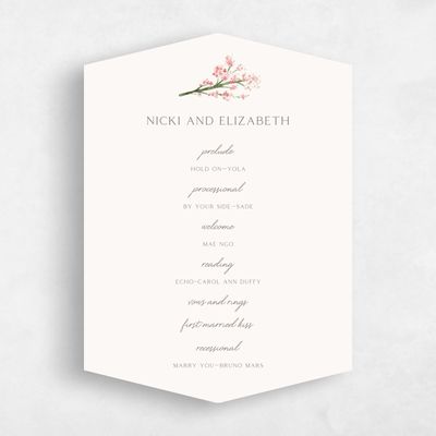 Pink Diamond Wedding Program - Allamia