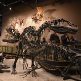Natural History Museum of Utah