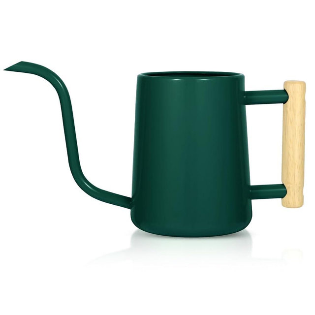 Watering Can Indoor Plants, 35 oz/1000 ml Metal Stainless Steel Watering Can Pot with Long Spout for Indoor House Plants Bonsai Outdoor Garden Flower Decorative (Alpinegreen)